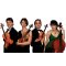 Click for a bigger image of The Quartz String Quartet