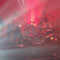 Click for a bigger image of Reflex