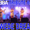 Click for a bigger image of Swede Dreamz