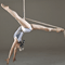 Click for a bigger image of Aerial Dancer