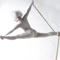 Click for a bigger image of Aerial Dancer
