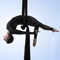 Click for a bigger image of Aerial Dancer