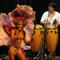 Click for a bigger image of Tropicalia Show Band