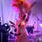 Click for a bigger image of Tropicalia Show Band