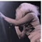 Click for a bigger image of Uncle Funk
