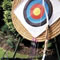 Click for a bigger image of Laser Clay Pigeon and Shooting Games