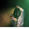 Click for a bigger image of Disco Chic