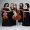 Click for a bigger image of Palatine String Quartet
