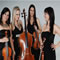 Click for a bigger image of Palatine String Quartet