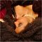 Click for a bigger image of Sax Goddess (Saxophonist)