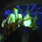 Click for a bigger image of The Jumping Jacks