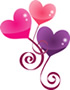 Wedding Reception Evening Party Live Entertainment