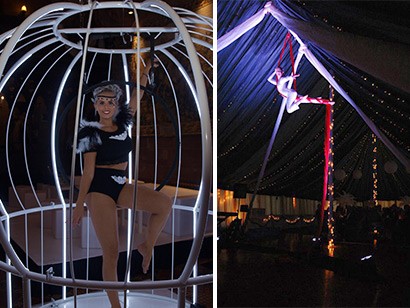 aerial artists
