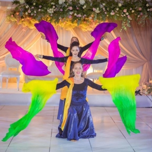 Bollywood Live Dancer Shropshire