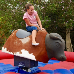 Rodeo Rides Giant and Outdoor Games Lincolnshire