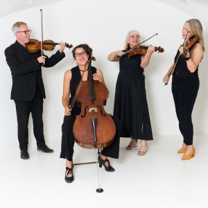 Solar Strings String Quartet Newcastle upon Tyne
