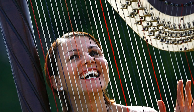 Harpist Classical Musicians Booking Guide