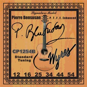 10 x SIGNATURE GUITAR STRINGS SETS (STANDARD TUNING)